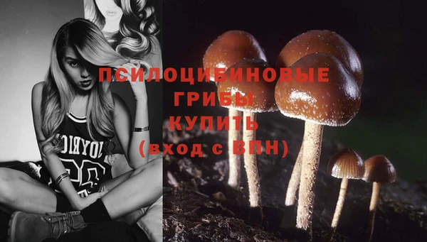спиды Киреевск