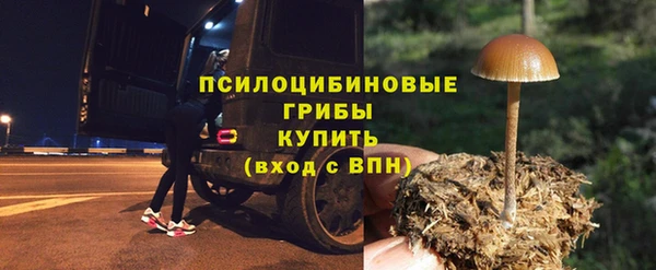 спиды Киреевск