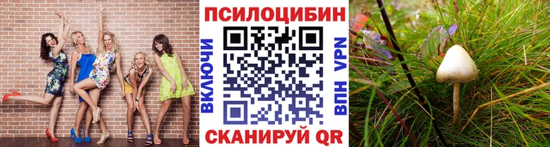 Купить где  Исилькуль  Псилоцибиновые грибы ЛСД 